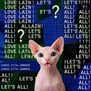 BALDCAT