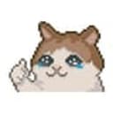 PIXELCAT