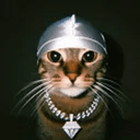 CASHCAT
