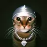 CASHCAT