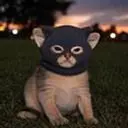 cc
