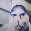 FOLKCAT