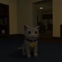 WIDGET