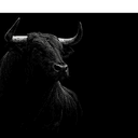 BULL