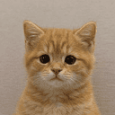 MEOW