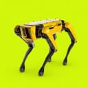 SPOTDOG