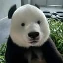 飞云