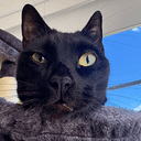 salem