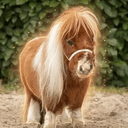 Pumuckel