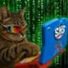 cat