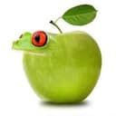GFROG