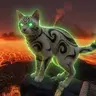 PAPCAT