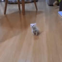 smol