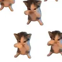 KICAU