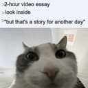 垃圾猫
