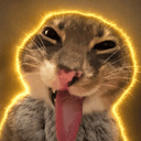 lickingcat