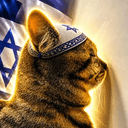 חתול
