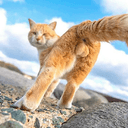 CATIMEN