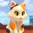 CALICO64