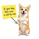THESISDOG