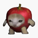 AAPLCAT