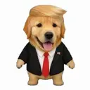 pup