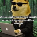 MATRIXDOGE
