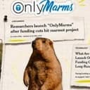 OnlyMarms