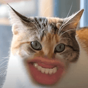 MEOW