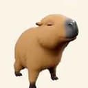 Capy