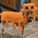 Pixel