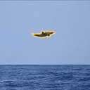 FLYDOLPHIN