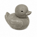 Drock