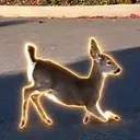 LowRideer