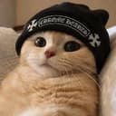 CatWifChrome