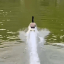 TURBOGOOSE