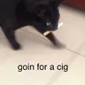 CIG