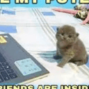 catputer
