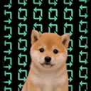 rDOG