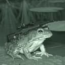 SNIPE