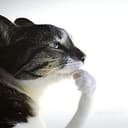 Hmm