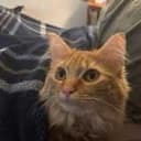 ABBIE