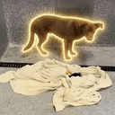 SOL