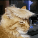 COMB
