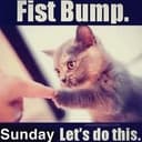 FIST⁠