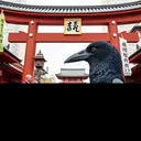 YASUKUN