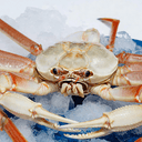 SNOWCRAB