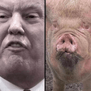 prump