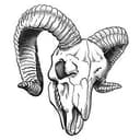 HORN