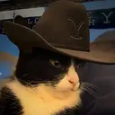 Tina